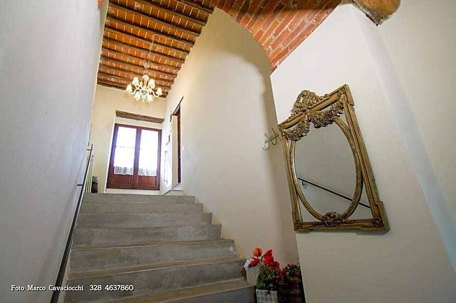 Il Bosso di Toscana