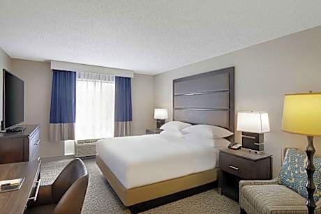 1 King Bed