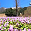 Pension Come Healing Tatami-room- Vacation STAY 14980