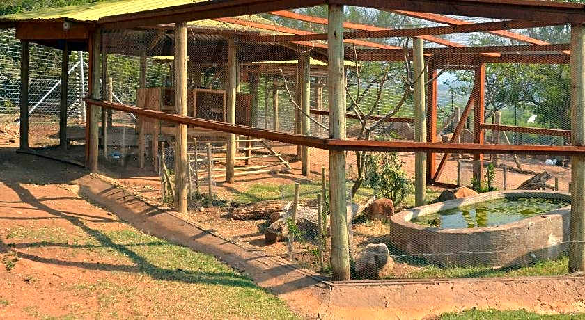 eBundu Lodge