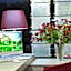 Levante Holiday Apartments