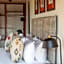 Tshwene Lodge