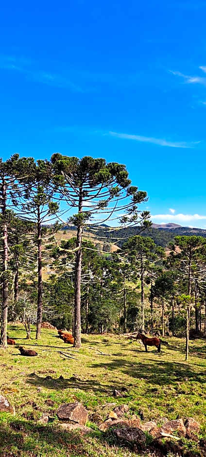 Pousada Chales Aconchego Serrano