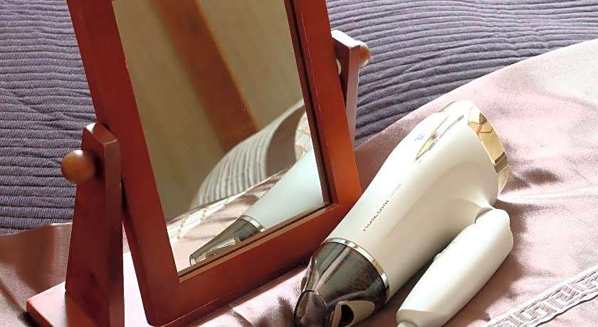 Gero-Onsen Business Hotel Fukiya