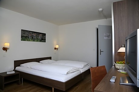 Standard Triple Room (20-23m2)