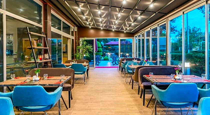 Ibis Bursa