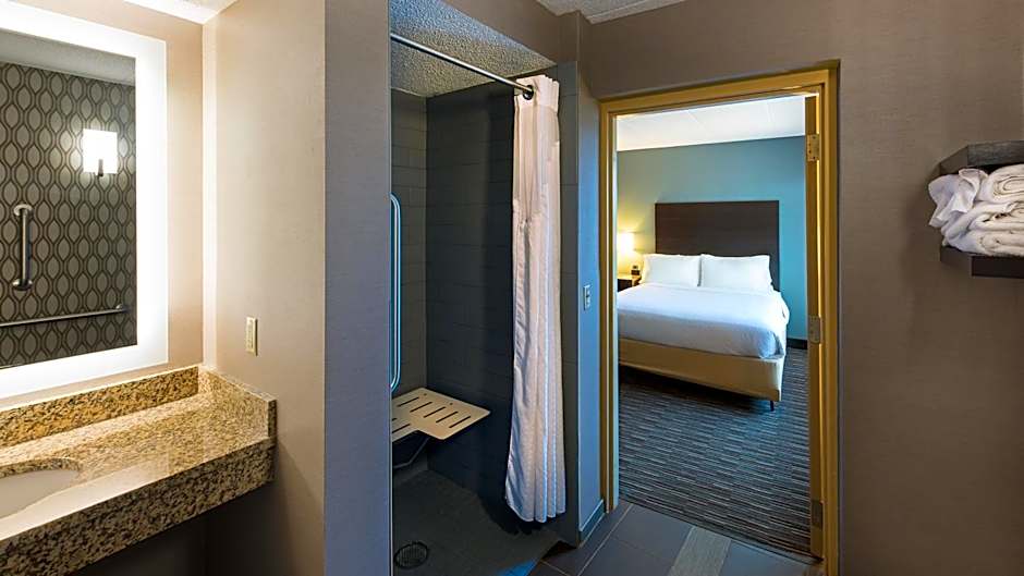 Holiday Inn St. Paul Downtown By IHG