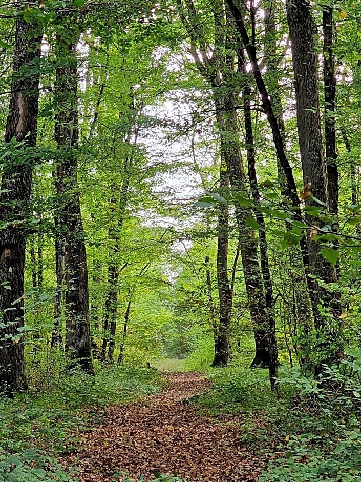 Chambre d'hôtes "Au bord de Loire"