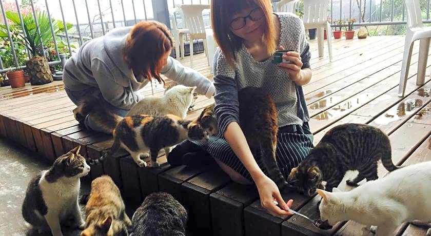 Seeking-Alishan Sunrise