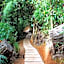 Dantica Cloud Forest Lodge