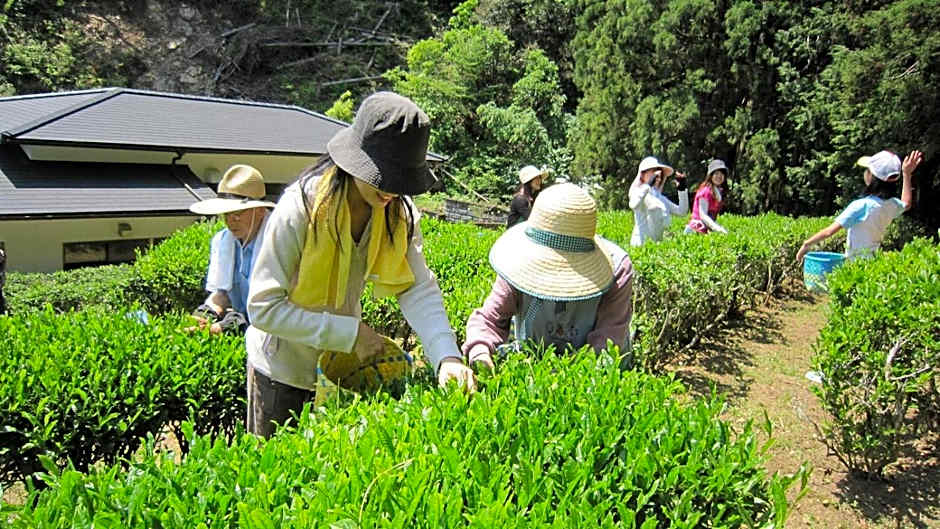 Minshuku Ryokan Kawai