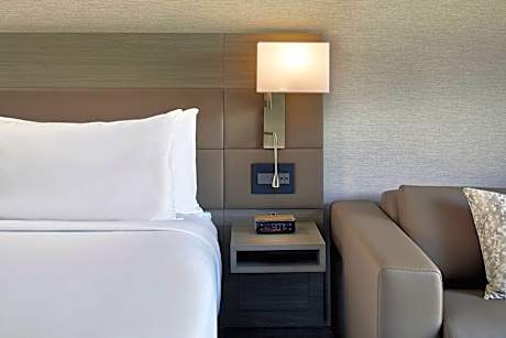 Guest room, 1 King, Sofa bed