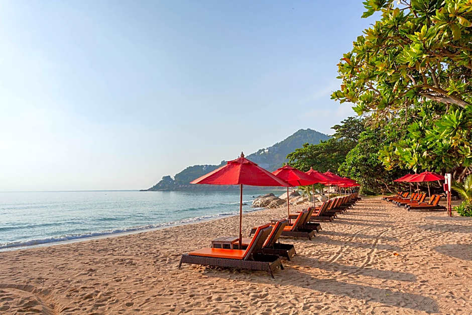 Photo 1 of 50 of New Star Beach Resort