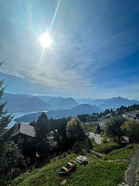 Hotel Bergsonne Rigi