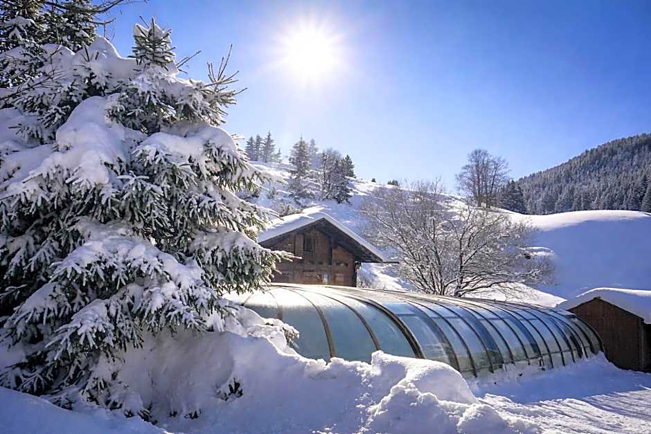 Hôtel Chalet Alpage