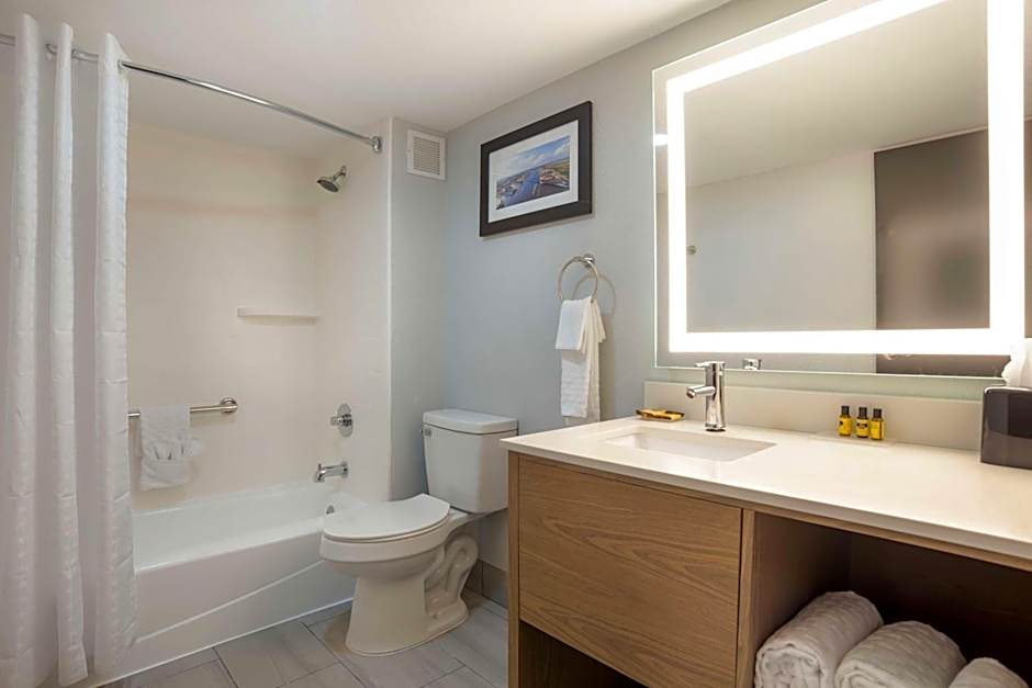 Best Western Plus Mobile Inn and Suites