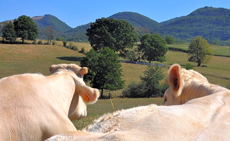 Terres de la Grange B&B