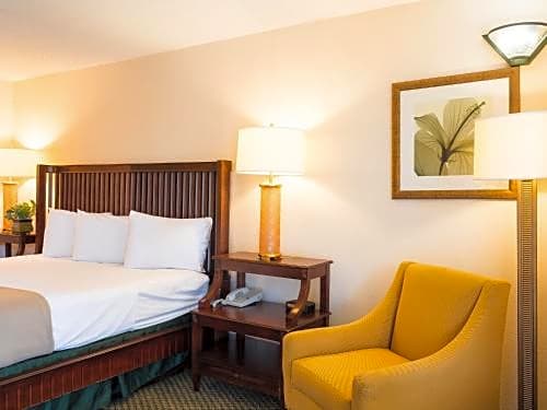 Vista Inn And Suites Tampa
