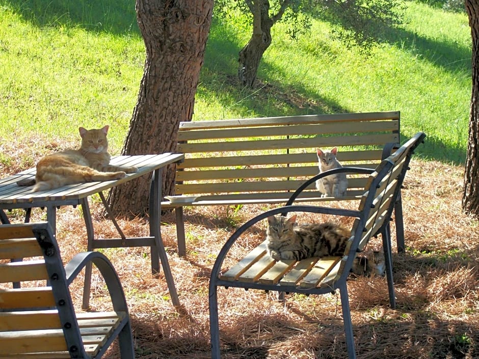 Le Poiane B&B Vacanze