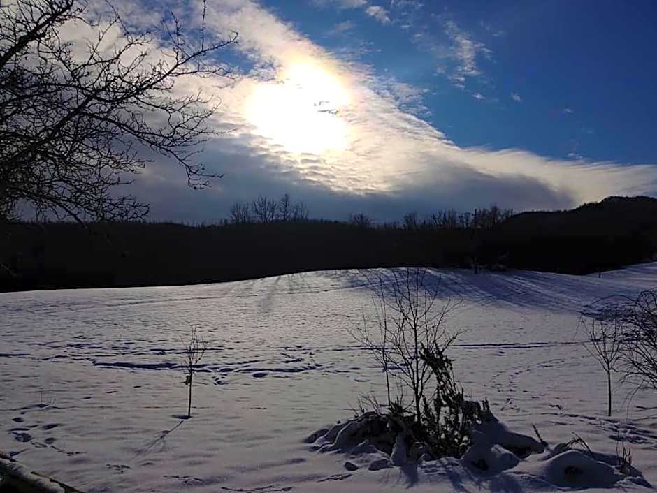 "Borgo Gerbina" Agriturismo & Azienda agricola