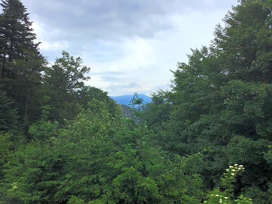 HÔTEL RESTAURANT LA FOURMI