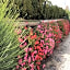 Villa Mascitti B&B Tortoreto via XX settembre n27 Vecchio Forte Alba Adriatica Via Vecchio Forte n 64