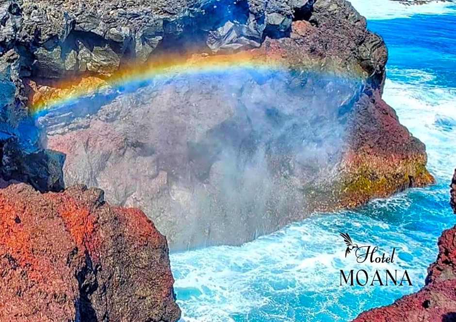hotel MOANA - Vacation STAY 76518v