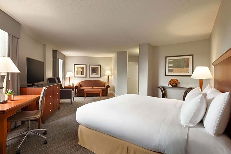 Photo 1 of 4 of Junior 1 King Bed Suite