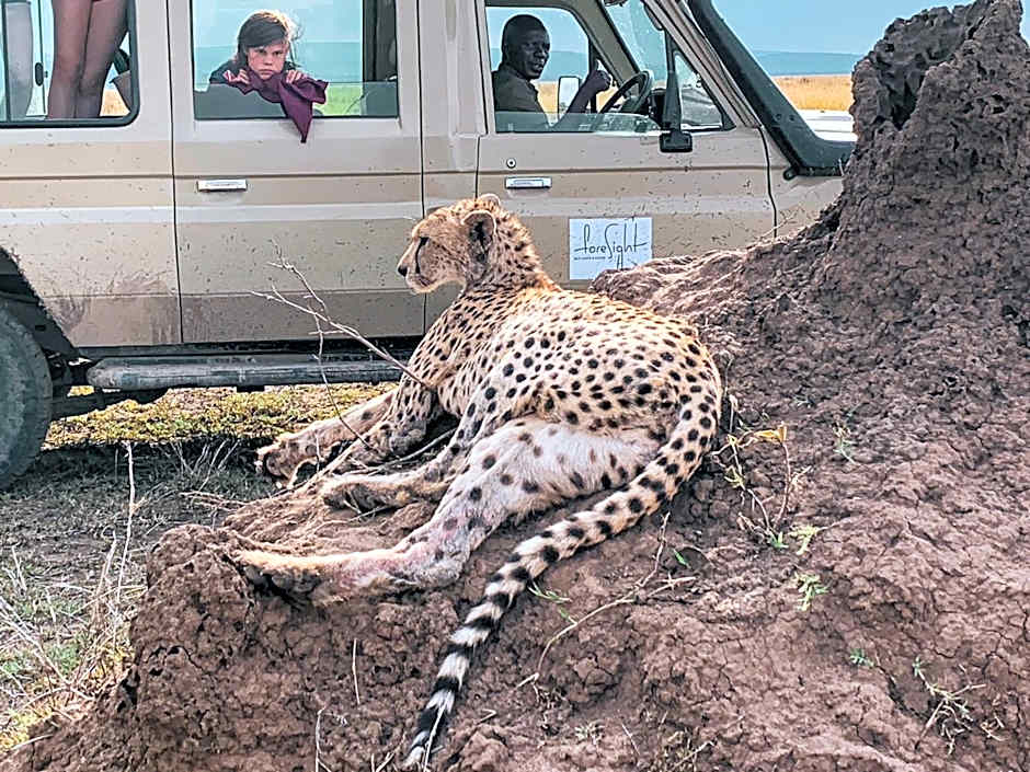 Foresight Eco Lodge & Safari