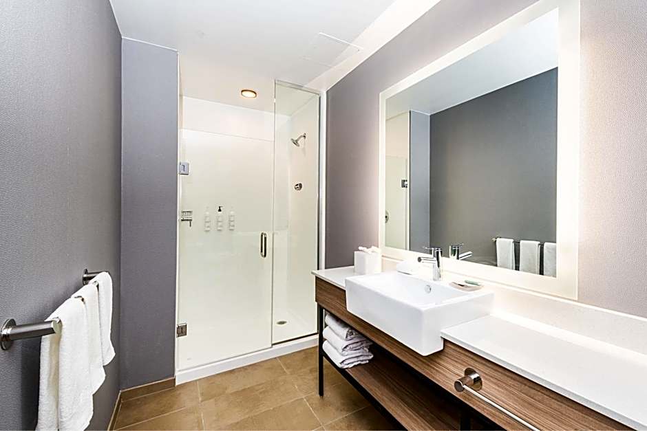 SpringHill Suites by Marriott Baltimore Downtown Convention Center Area