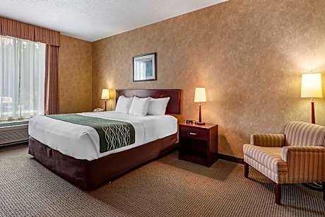 1 King Bed Nonsmoking Accessible