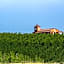 Vila Gale Alentejo Vineyard - Clube de Campo