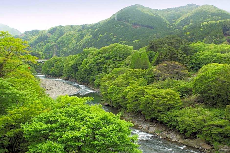 Nanaeyae