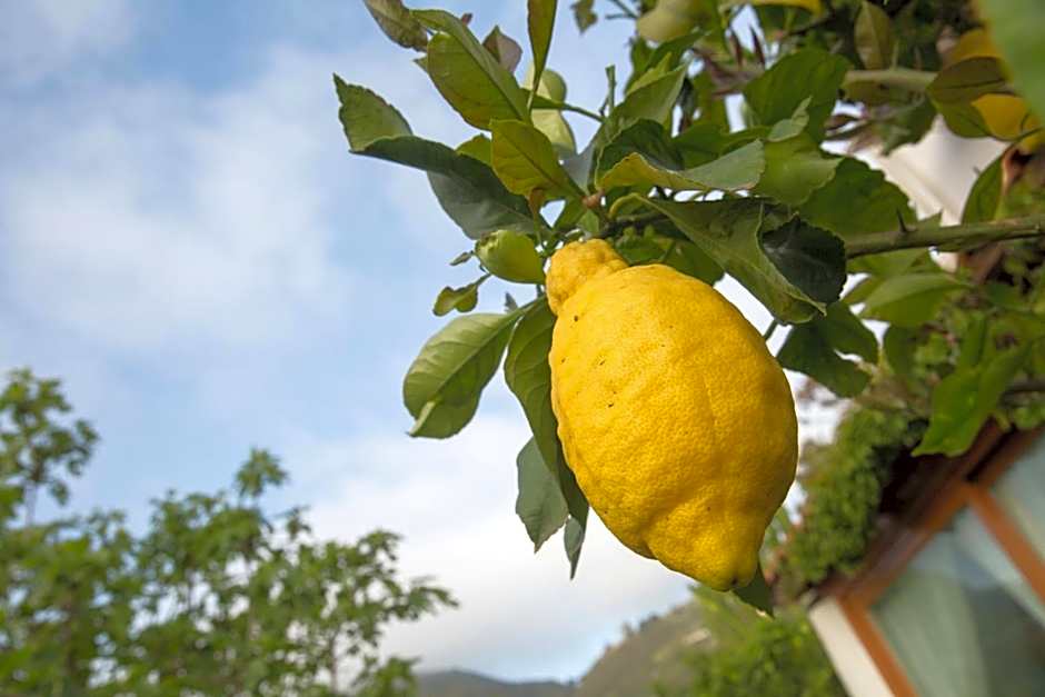 Hotel Residence Mendolita