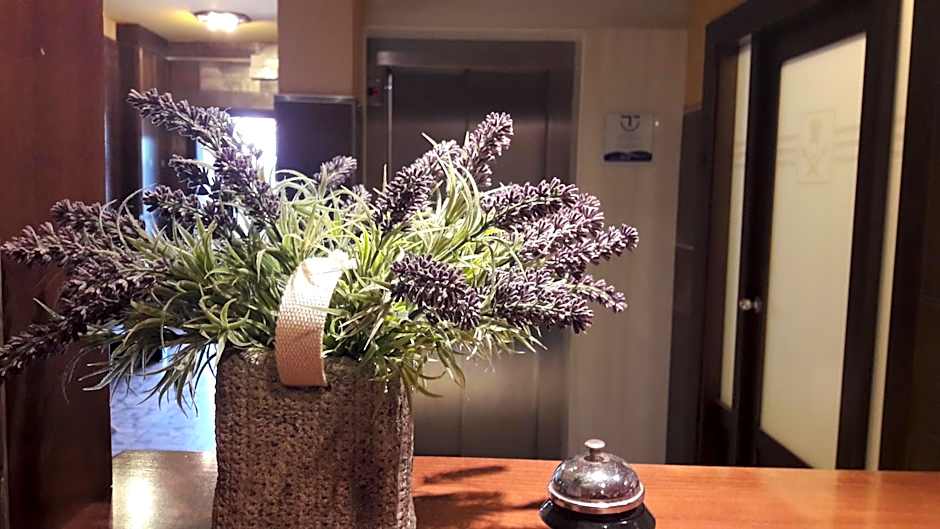 Hotel Torres Touriño