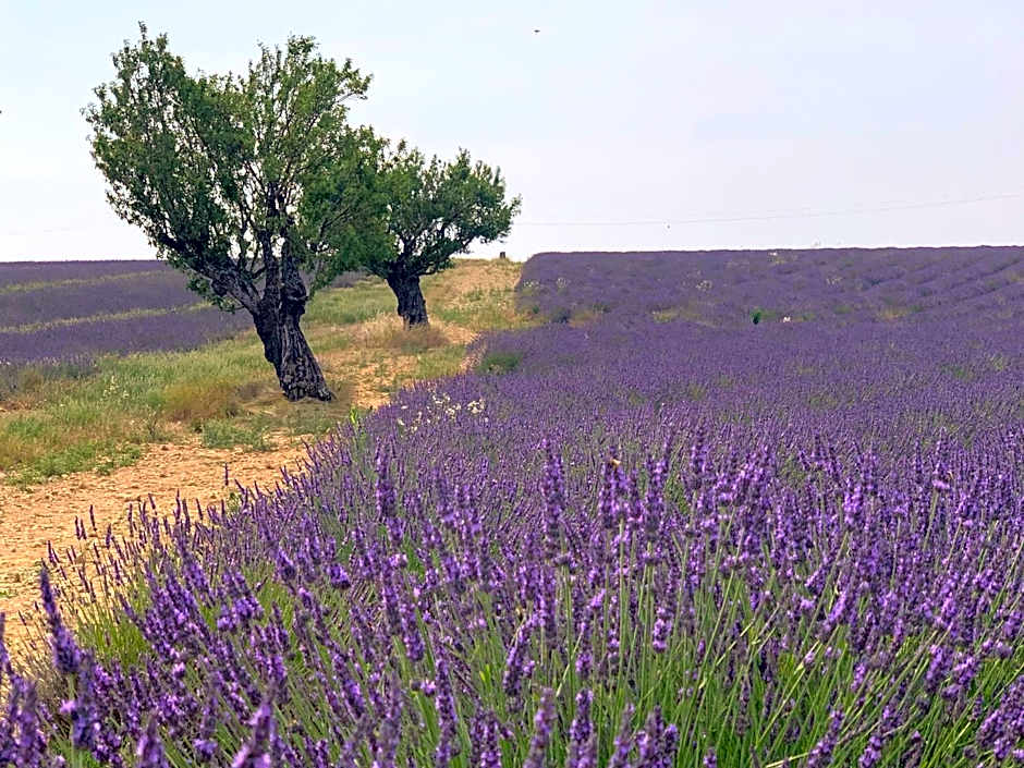 Studio Nuitée en Provence 2