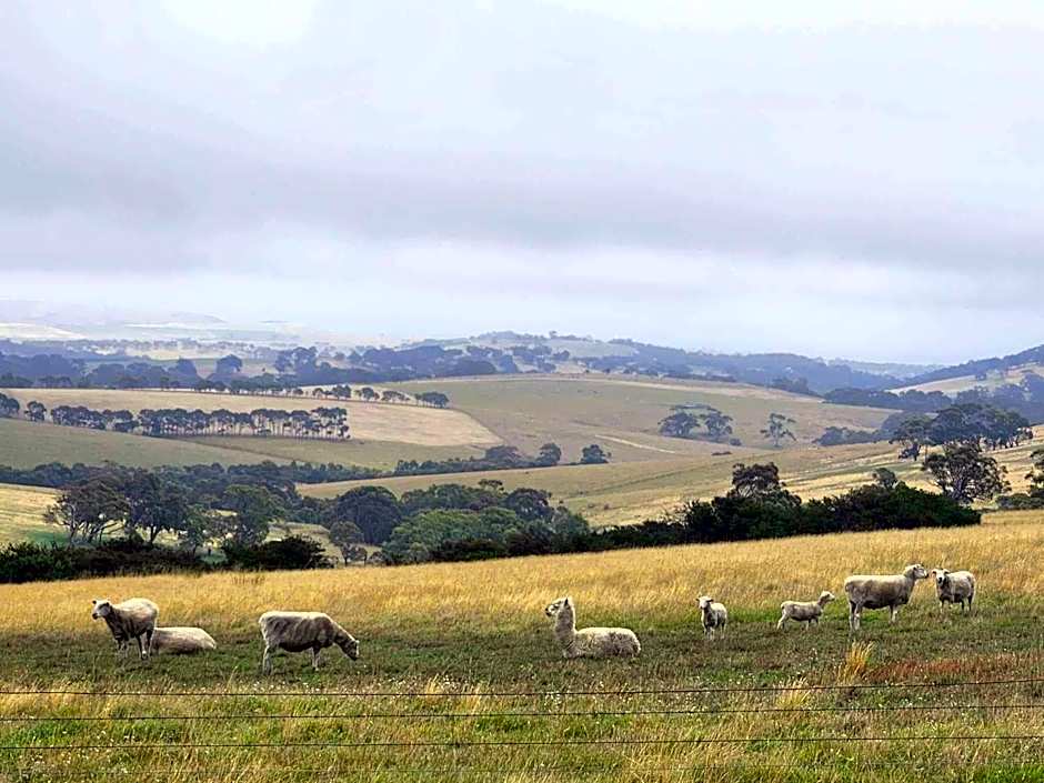 Lush Pastures