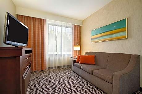 2 Room Premium Suite-1 King Bed-Nonsmoking