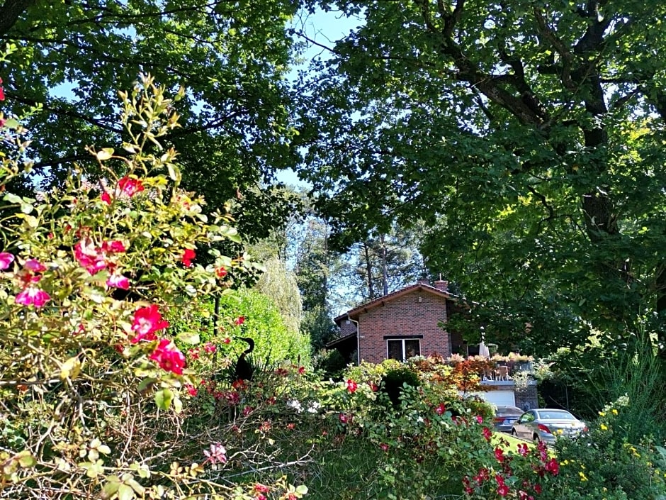 Foto 1 av 16 av Les Sittelles - Tilff