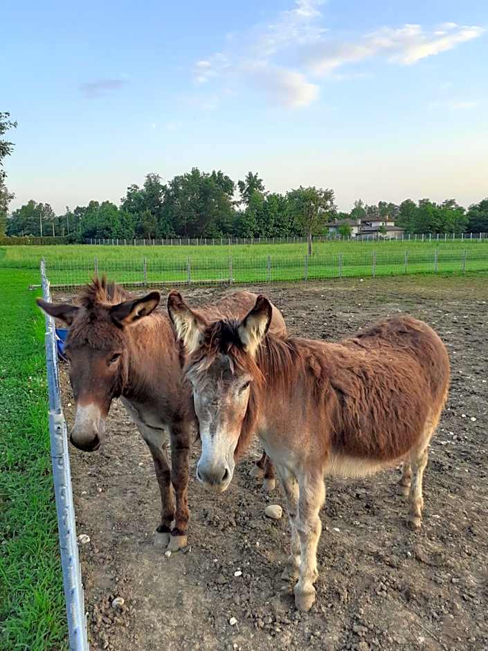 Azienda Agrituristica Ai Prai
