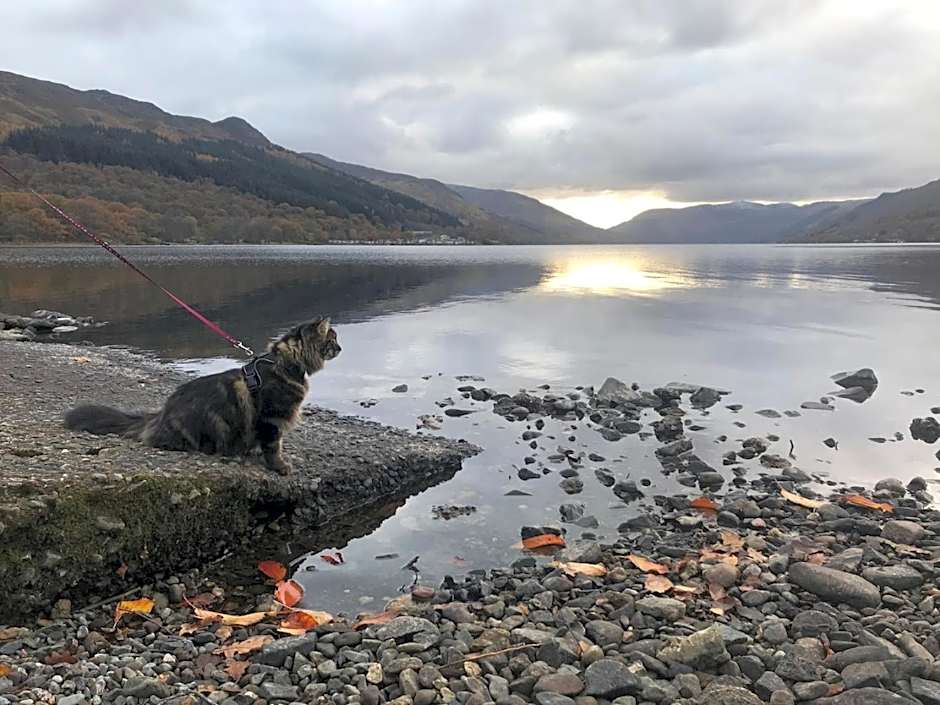 The Four Seasons Hotel