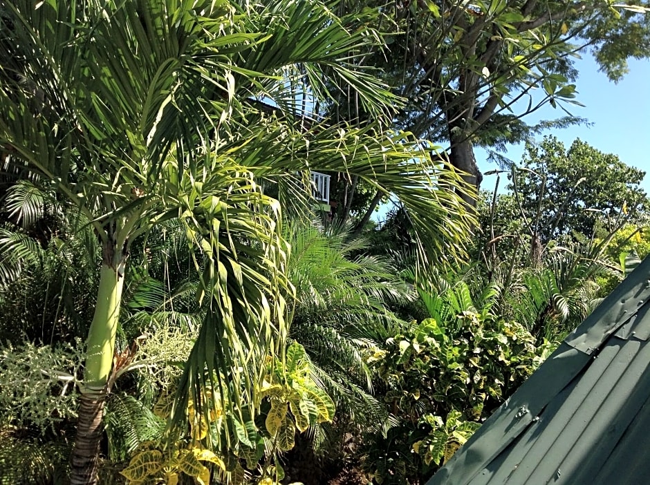 Hotel Tamarindo Village