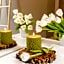 Luna Arcos Hotel Nature & Wellness
