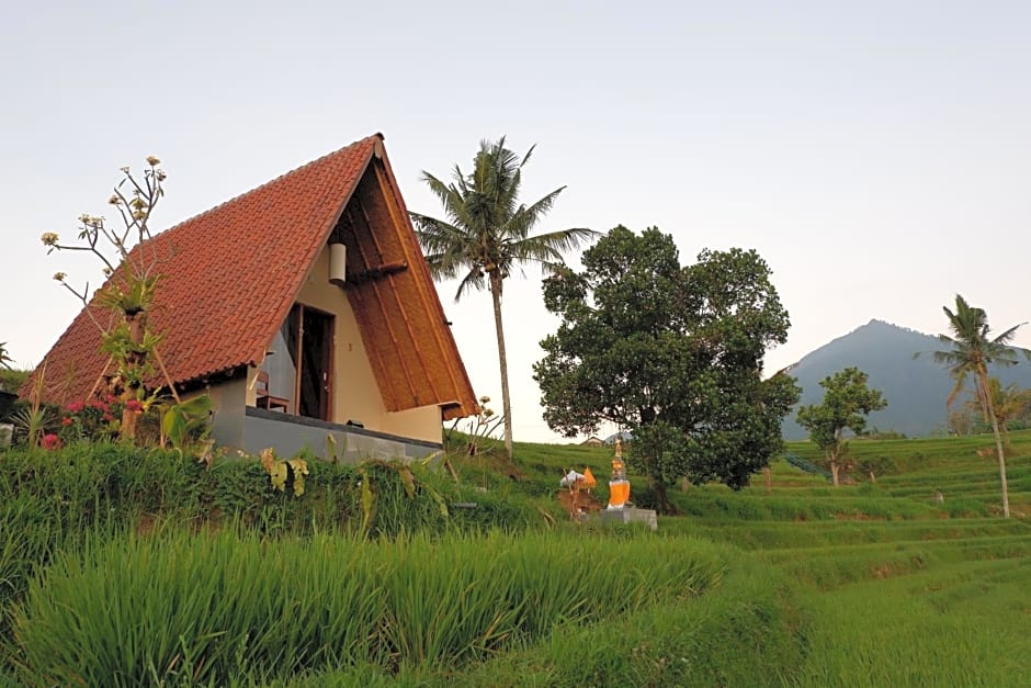 Padi Bali Jatiluwih