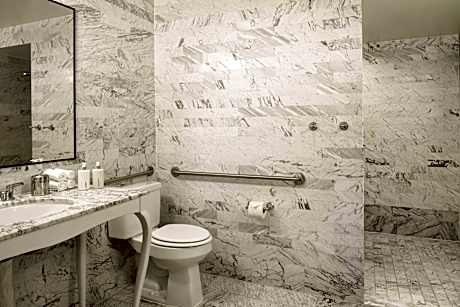 Mobility/Hearing Accessible Viceroy King, Roll-In Shower