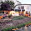 Mercure Hotel Bad Duerkheim An Den Salinen