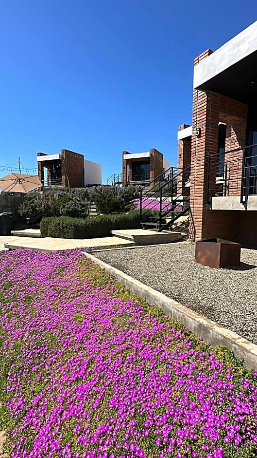 Hotel Otero Valle de Guadalupe