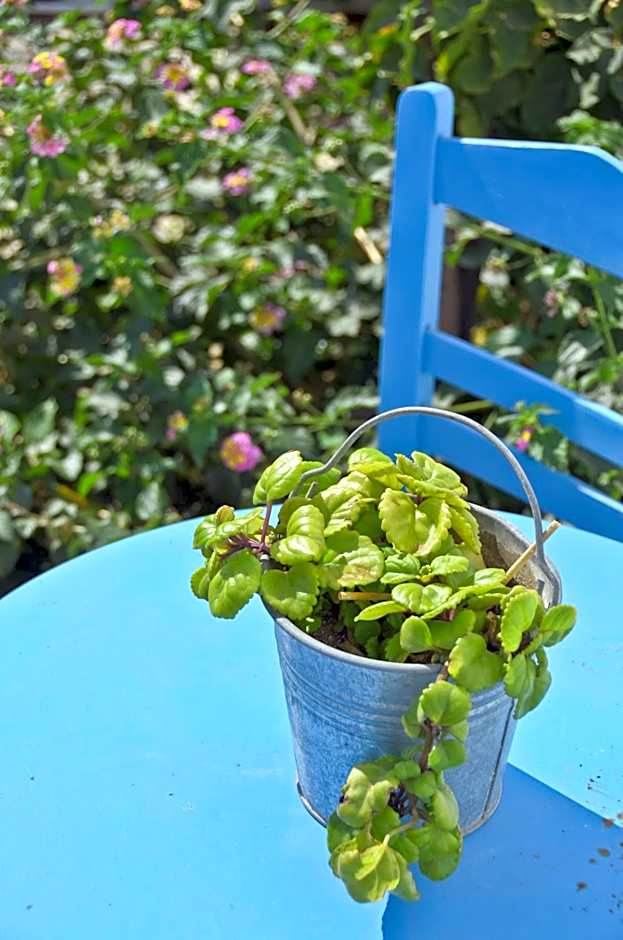 Dilino Hotel Studios