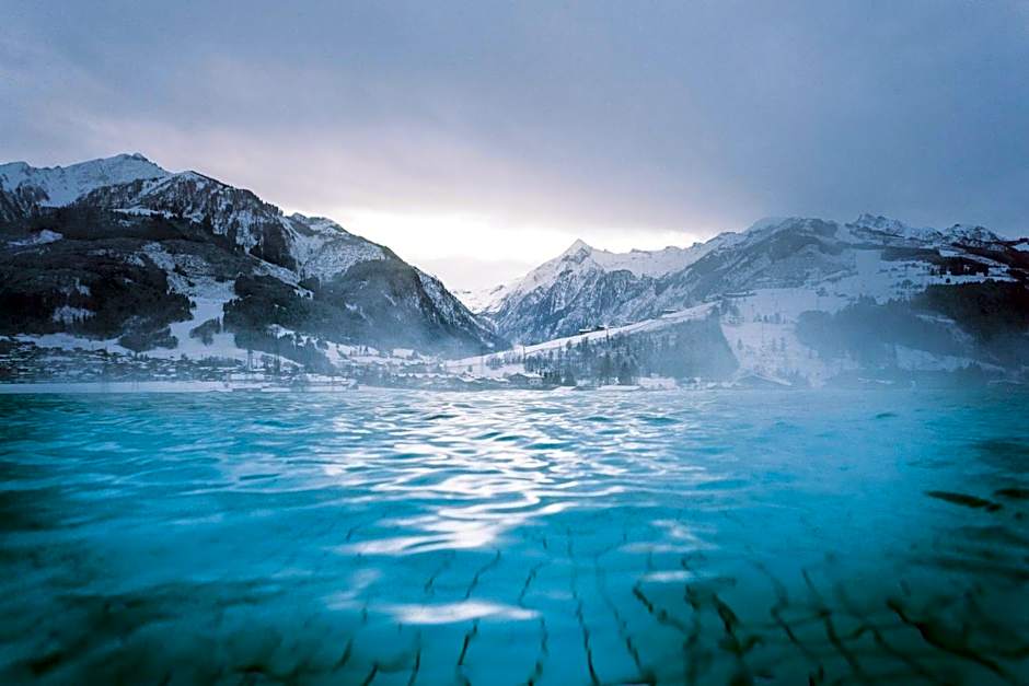 Aparthotel Waidmannsheil