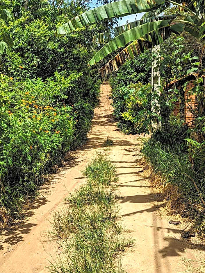 Casa das Irmãs - Só Mulheres - Women Only